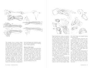 Morpho: Hands And Feet