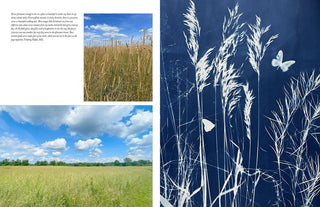 "Botanical Cyanotype : A Guide to the Art of Sun Printing" by Sarah Bourne Rafferty