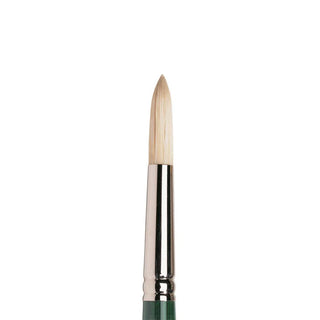Round / Hog Bristle Winton Oil Brushes / Winsor & Newton