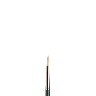 Round / Hog Bristle Winton Oil Brushes / Winsor & Newton