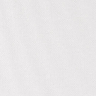 Artists' Canvas Board Panel / Winsor & Newton