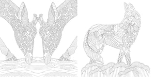 "Brilliant Beasts" / Coloring Book by Millie Marotta