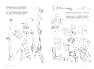 Morpho: Hands And Feet