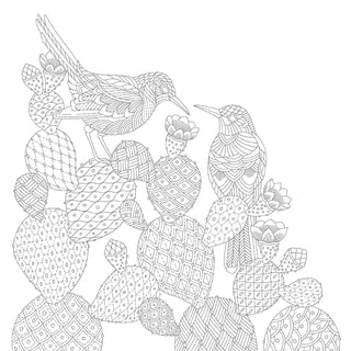 "Animal Adventures" / Coloring Book by Millie Marotta