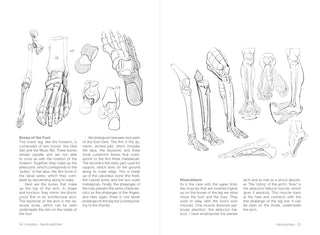 Morpho: Hands And Feet