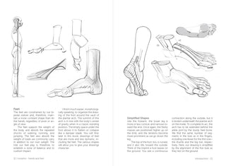Morpho: Hands And Feet