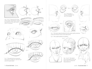 Morpho: Face, Head, And Neck