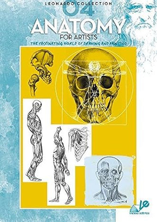 Anatomy for Artists