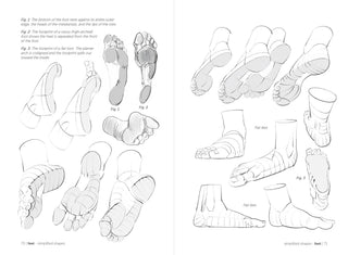 Morpho: Hands And Feet