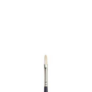 Filbert / Long Handle Hog Bristle Artists Oil Brushes / Winsor & Newton