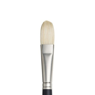 Filbert / Long Handle Hog Bristle Artists Oil Brushes / Winsor & Newton
