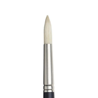 Round / Long Handle Hog Bristle Artists Oil Brushes / Winsor & Newton