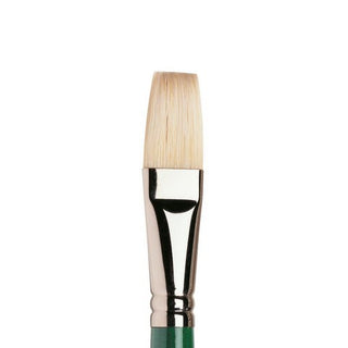 Long Flat / Hog Bristle Winton Oil Brushes / Winsor & Newton