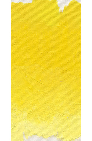 Cadmium Yellow Medium 37ml / Williamsburg Handmade Oil Color