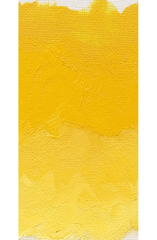 Cadmium Yellow Deep 37ml  / Williamsburg Handmade Oil Color