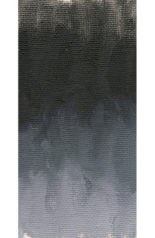 Graphite Grey 37ml / Williamsburg Handmade Oil Color