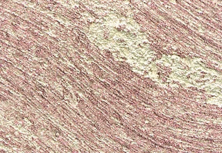 Interference Red / 37mL / Williamsburg Handmade Oil Color