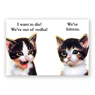 Vodka Kittens / Novelty Refrigerator Magnet