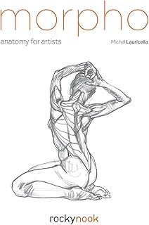 Morpho Anatomy for Artists