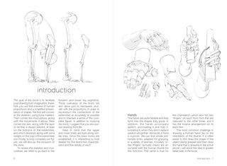 Morpho: Hands And Feet