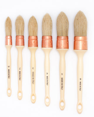 Pointed Sash / Short Handle Bristle Brushes / Jack Richeson