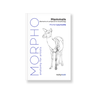 Morpho: Mammals