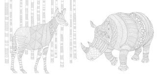 "Brilliant Beasts" / Coloring Book by Millie Marotta