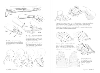 Morpho: Hands And Feet