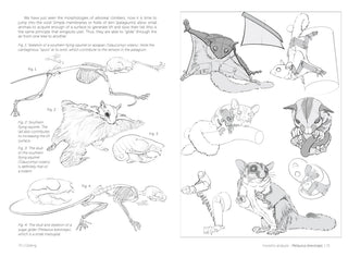 Morpho: Mammals