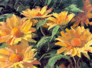 Explore the Power of Light and Shadow On Flowers / A One Day Pastel Workshop with Janet Schwartz / Saturday, June 20 / 10am-4pm