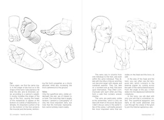 Morpho: Hands And Feet