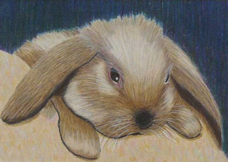 Drawing Basics with Anne Hunter / Wednesdays 3-5pm [4 Weeks starting June 3]
