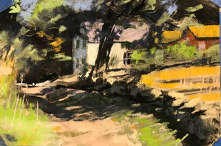 Shedding Light on Natural Landscapes / A One Day Pastel Workshop with Janet Schwartz / Sept
