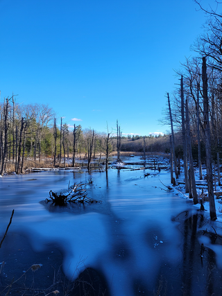 "Frozen Lake" / Giclee Print / Jane Yates