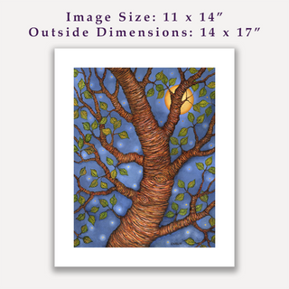 "Black Birch Tree" / Giclee Print / Sue Carlin