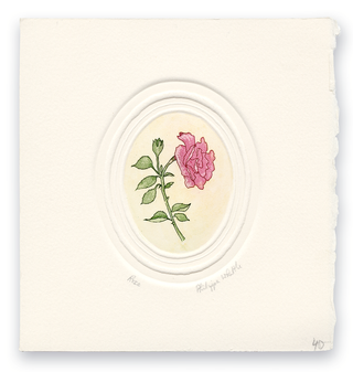 "Rose" / Handcolored Embossed Etching / Philippa Whittle