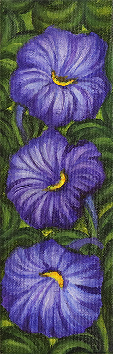 Pansies / Sue Carlin