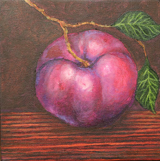 Plum by Sue Carlin