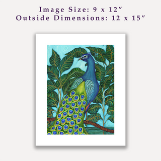 "Peacock" / Signed Giclee Print / Sue Carlin