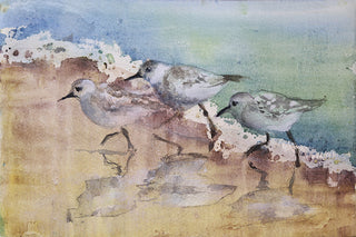 Shore Birds by Sue Dion