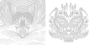 "Wildlife Wonders" / Coloring Book by Millie Marotta