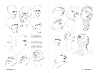 Morpho: Face, Head, And Neck