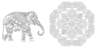 "Wildlife Wonders" / Coloring Book by Millie Marotta