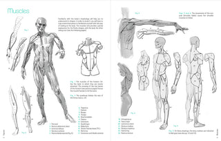 Drawing: Figures