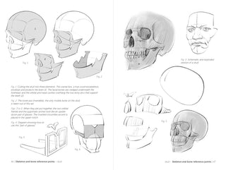 Morpho: Face, Head, And Neck
