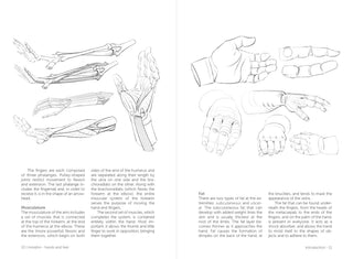 Morpho: Hands And Feet