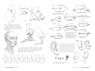 Morpho: Face, Head, And Neck