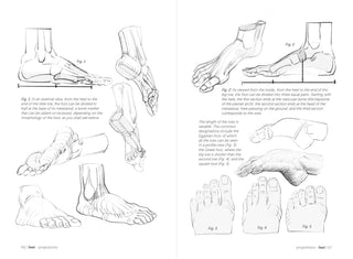 Morpho: Hands And Feet