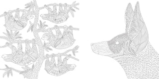"Brilliant Beasts" / Coloring Book by Millie Marotta