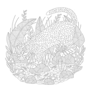 "Animal Adventures" / Coloring Book by Millie Marotta